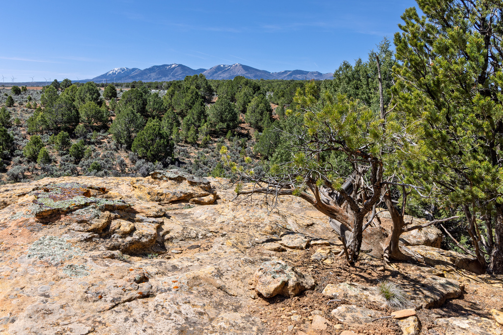 872 S HIDEAWAY CV Monticello, UT 84535