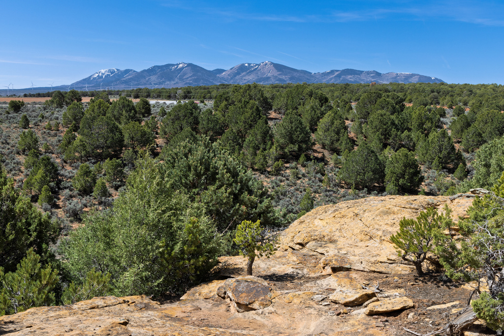 872 S HIDEAWAY CV Monticello, UT 84535