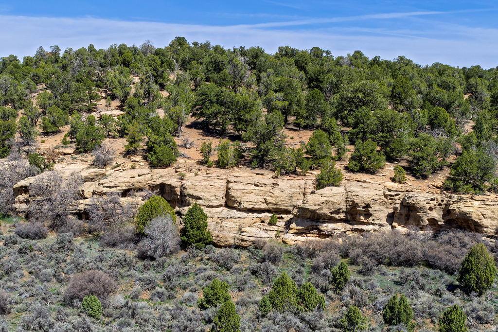 872 S HIDEAWAY CV Monticello, UT 84535