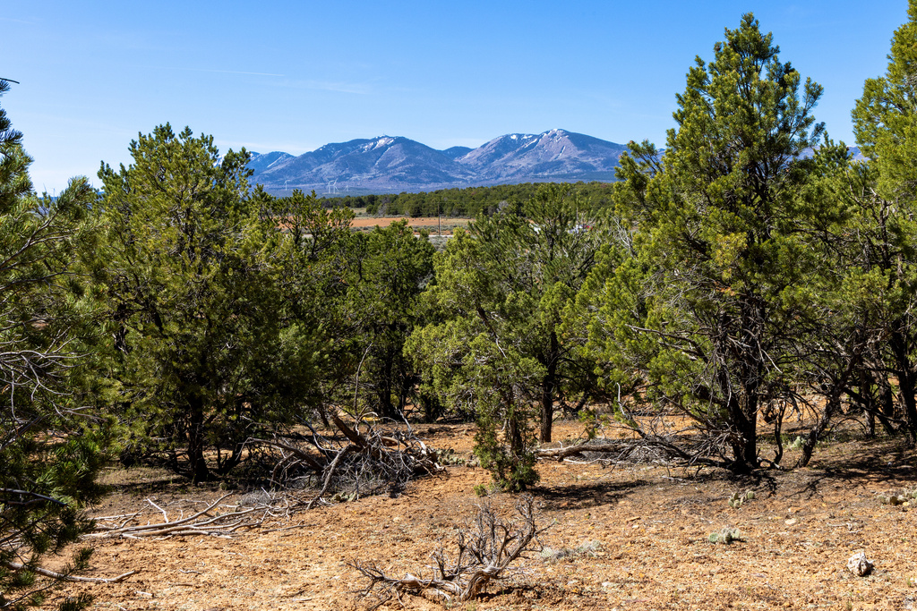 872 S HIDEAWAY CV Monticello, UT 84535