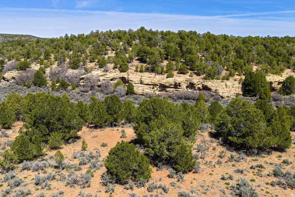 872 S HIDEAWAY CV Monticello, UT 84535