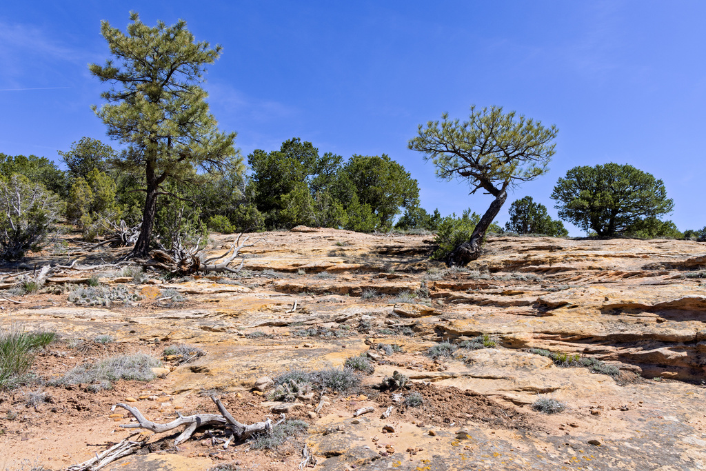 872 S HIDEAWAY CV Monticello, UT 84535