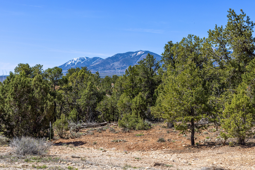 872 S HIDEAWAY CV Monticello, UT 84535