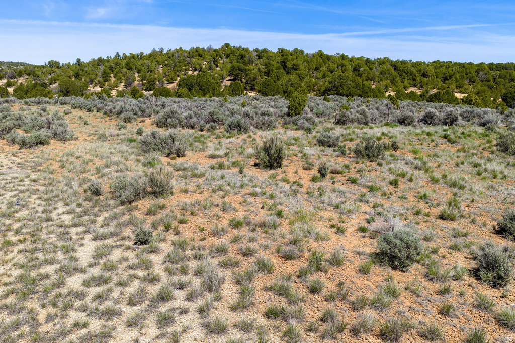 872 S HIDEAWAY CV Monticello, UT 84535