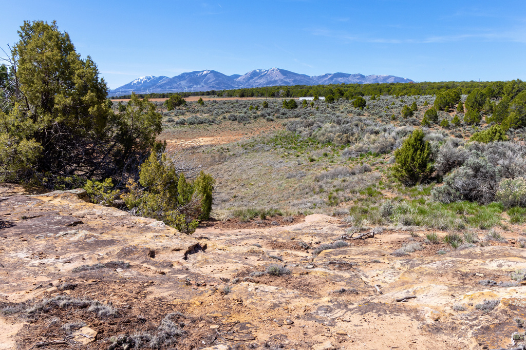 872 S HIDEAWAY CV Monticello, UT 84535