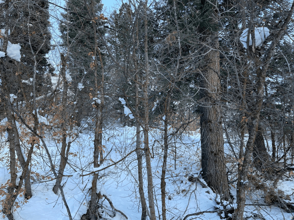 20  SUCCESS TRL Midway, UT 84049