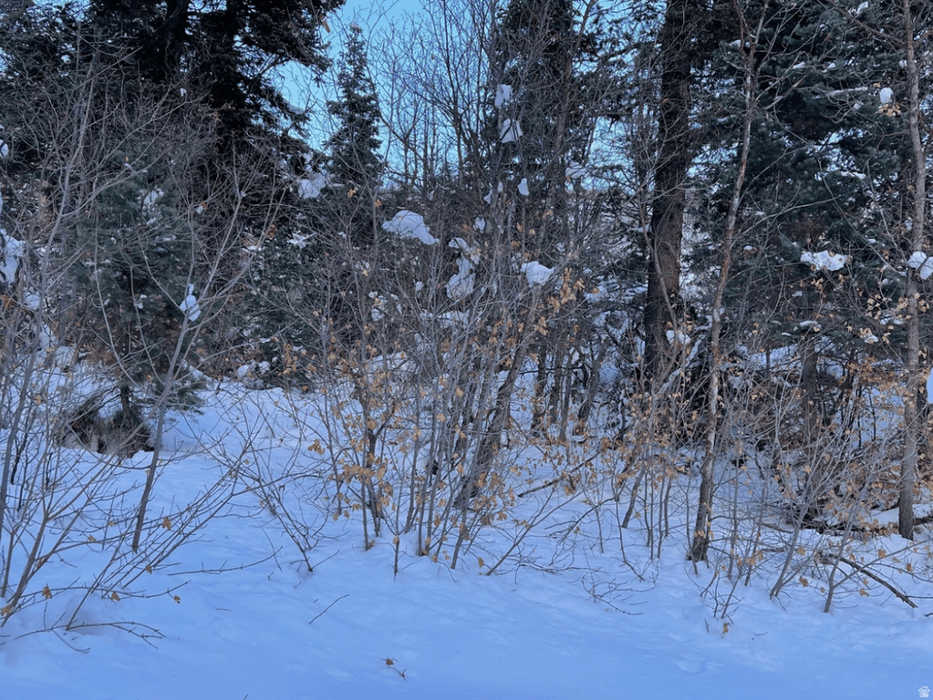 20  SUCCESS TRL Midway, UT 84049