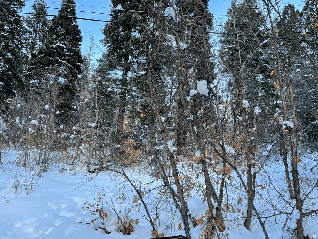 20  SUCCESS TRL Midway, UT 84049