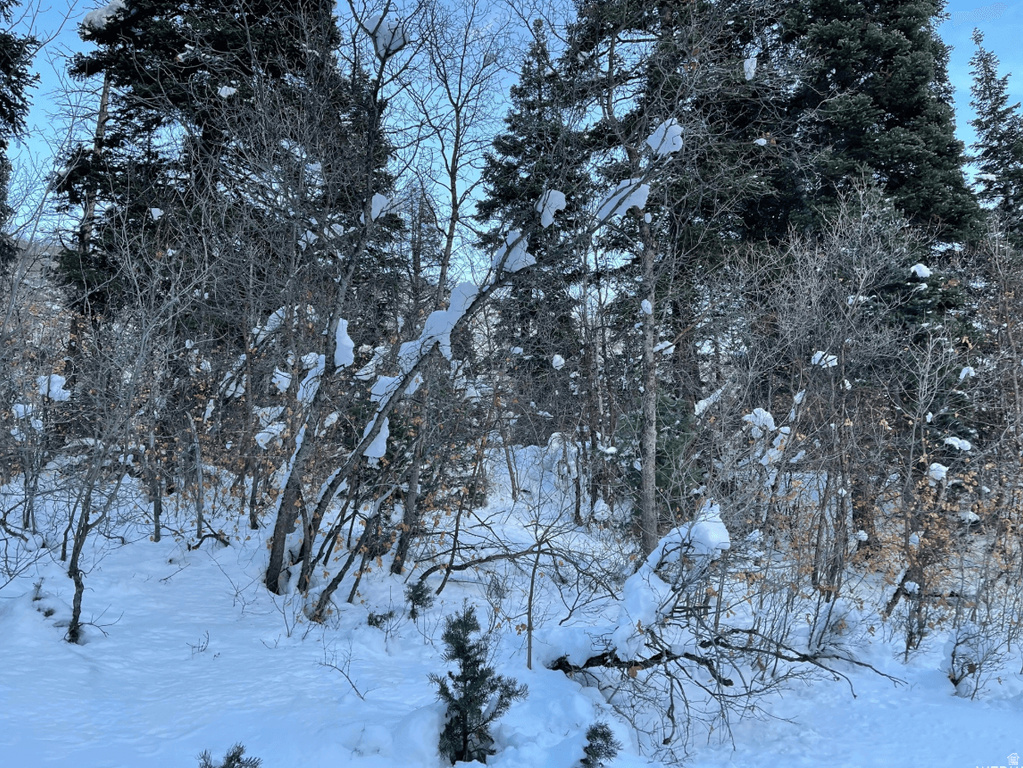 20  SUCCESS TRL Midway, UT 84049