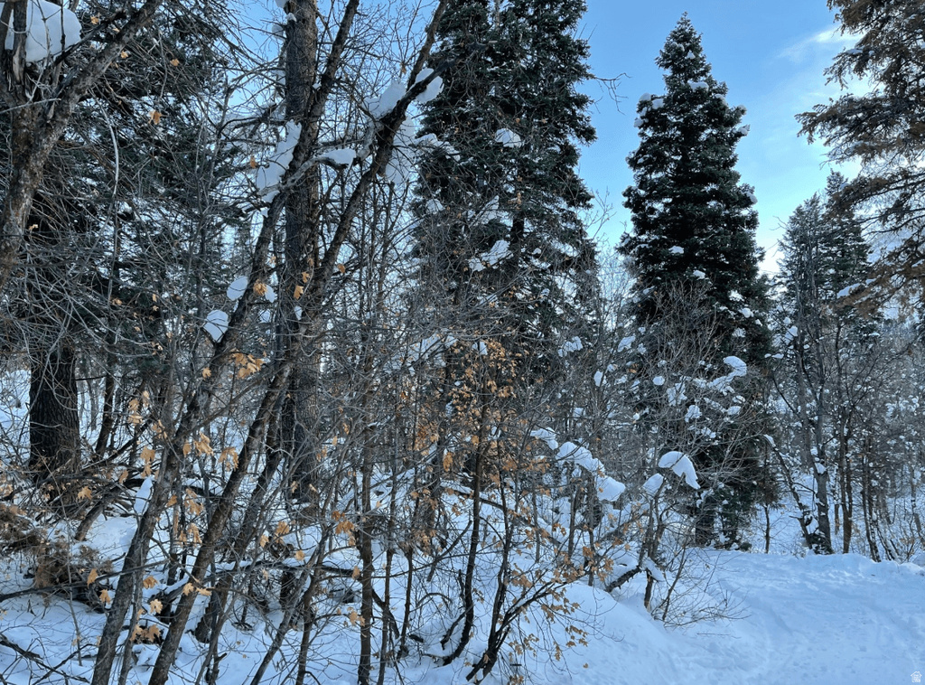 20  SUCCESS TRL Midway, UT 84049