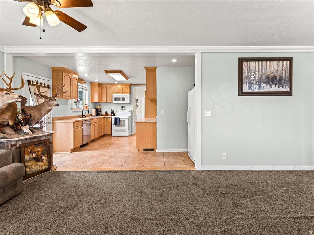 260 E 1ST Soda Springs, ID 83276