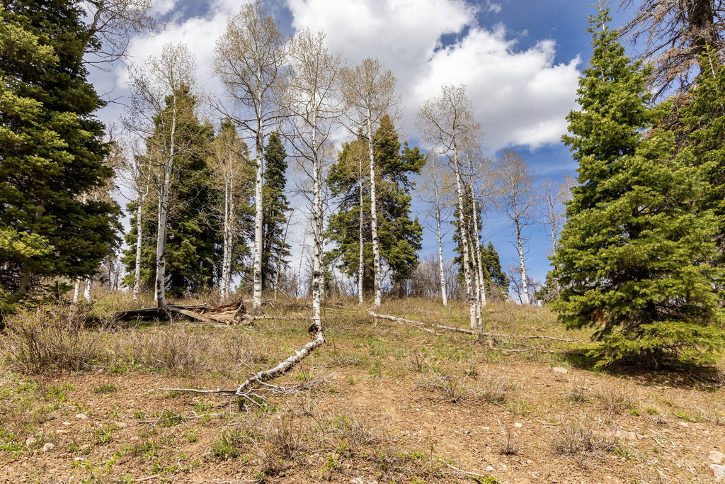 2664 S IROQUOIS LOOP Wanship, UT 84017