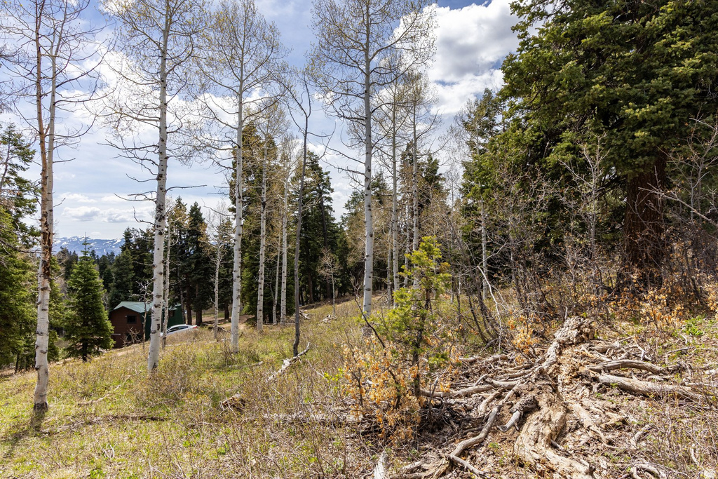 2664 S IROQUOIS LOOP Wanship, UT 84017