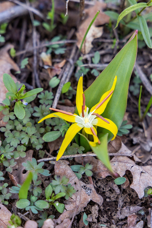 2664 S IROQUOIS LOOP Wanship, UT 84017