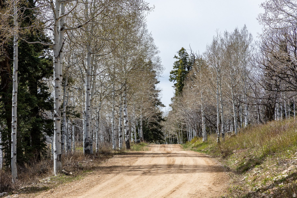 2664 S IROQUOIS LOOP Wanship, UT 84017