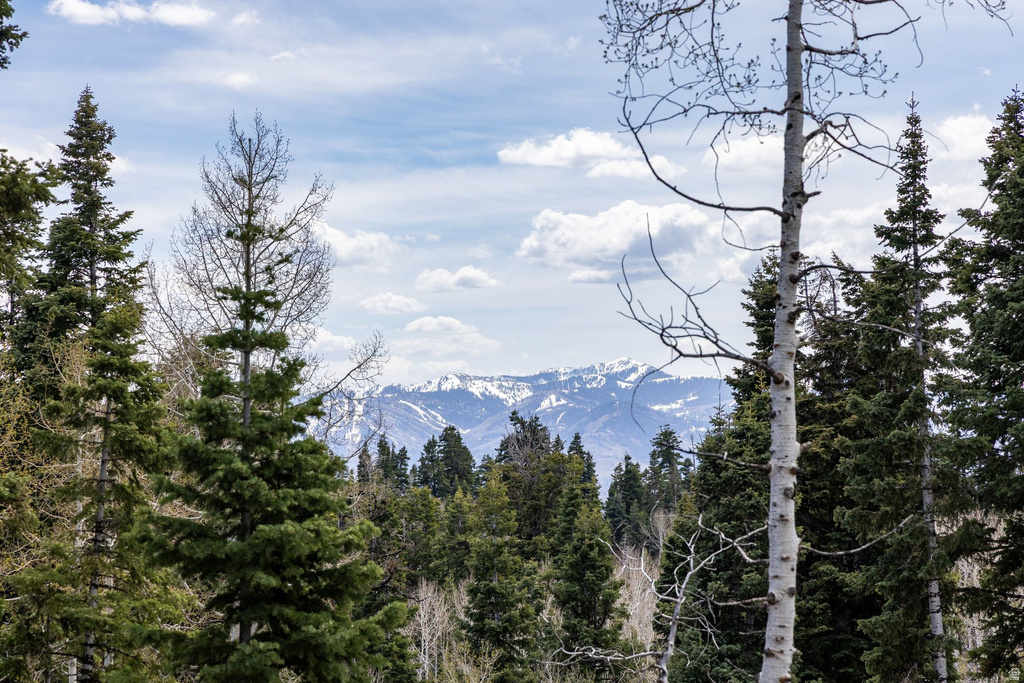 2664 S IROQUOIS LOOP Wanship, UT 84017