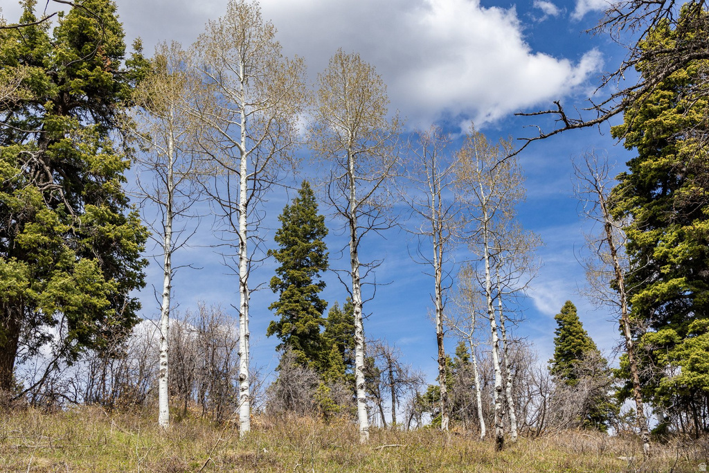 2664 S IROQUOIS LOOP Wanship, UT 84017