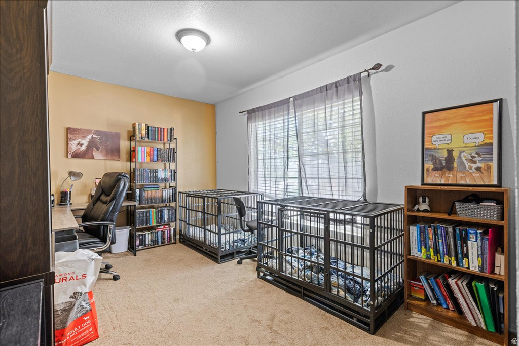 869 W 880 S Tooele, UT 84074