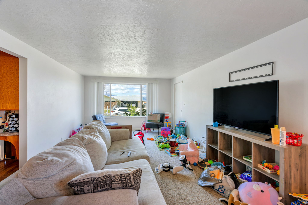 348 N LAKEVIEW AVE. Tooele, UT 84074