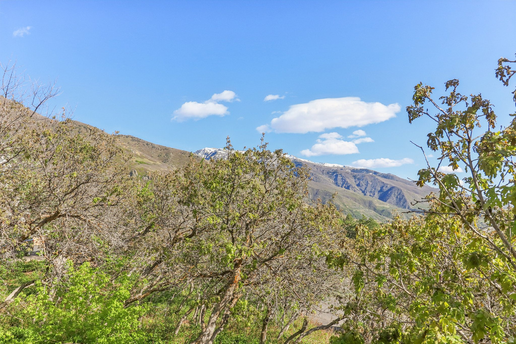 2686 E BONNEVILLE TERRACE DR South Ogden, UT 84403