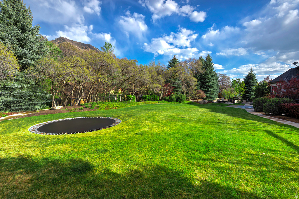 602 N QUAIL HOLLOW LN Alpine, UT 84004