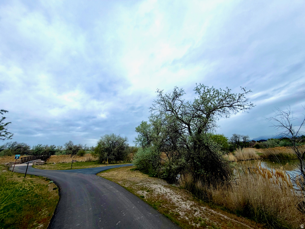 1229 W PEACOCK MIDGE DR Bluffdale, UT 84065