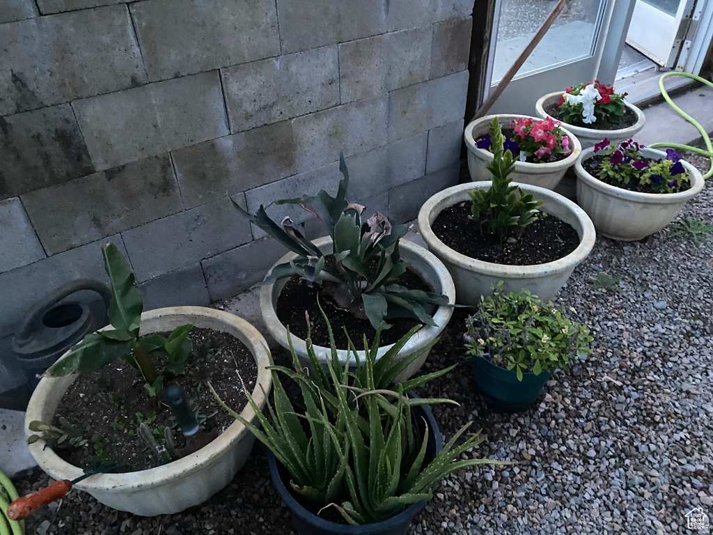 79 AUBURN FOREST RD Afton, WY 83110