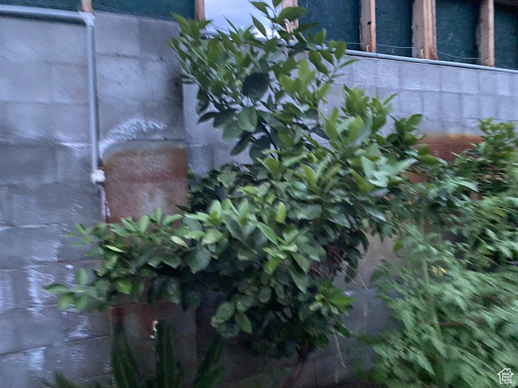 79 AUBURN FOREST RD Afton, WY 83110