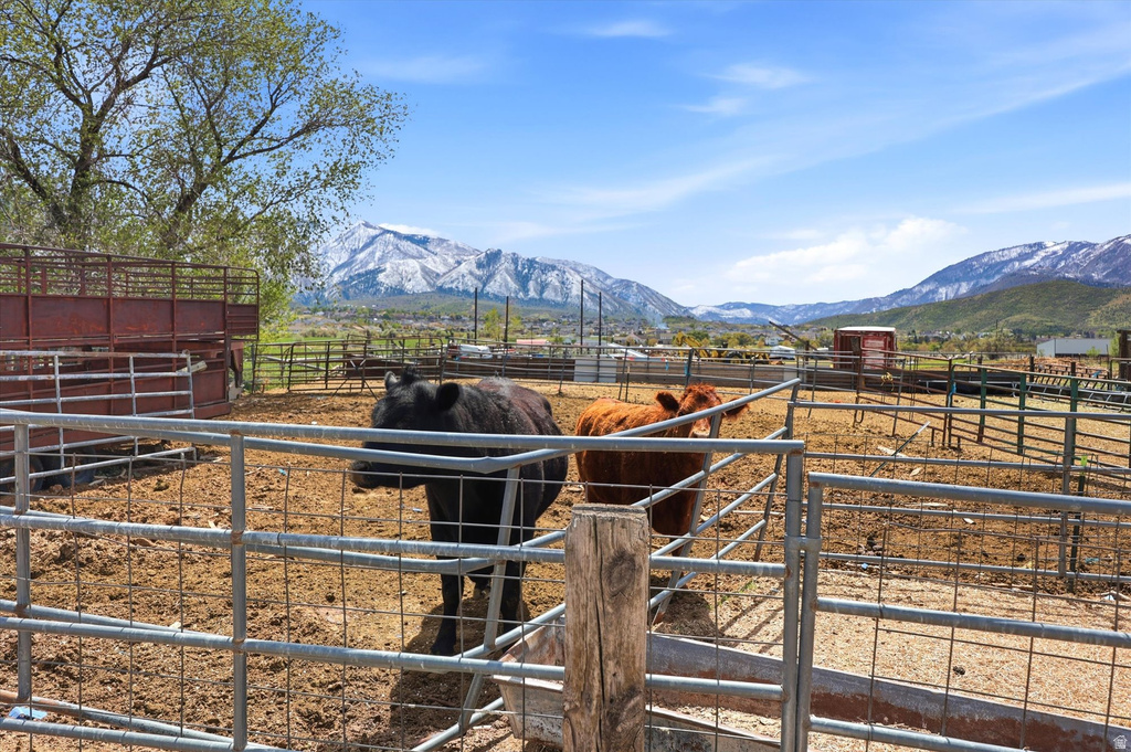 793 W SALEM CANAL RD RD Salem, UT 84653