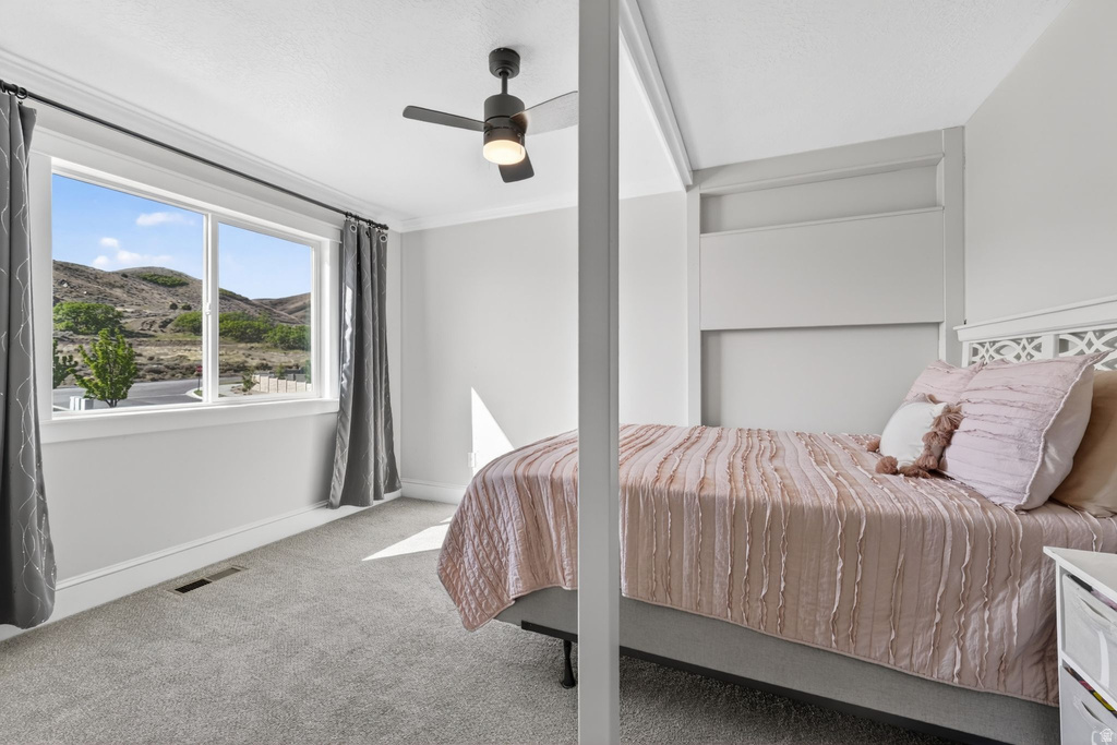 4674 W BIRKDALE DR Herriman, UT 84096