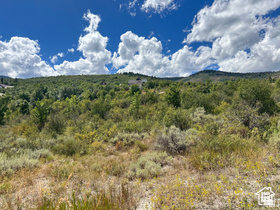 795  HICKOCK DR Fish Haven, ID 83287