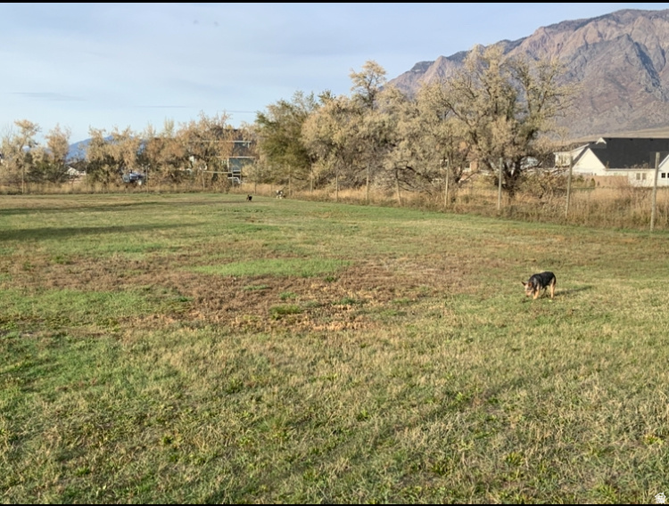 2898 W NORTH PLAIN CITY RD Plain City, UT 84404