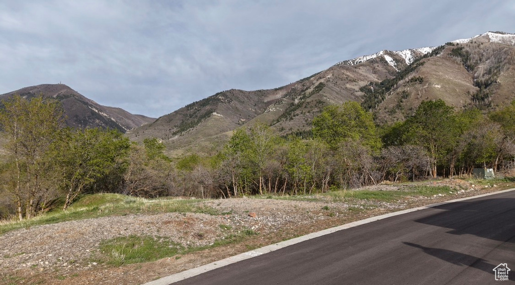 930 S MAPLE RAVINE CIR Woodland Hills, UT 84653
