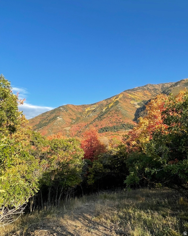 930 S MAPLE RAVINE CIR Woodland Hills, UT 84653
