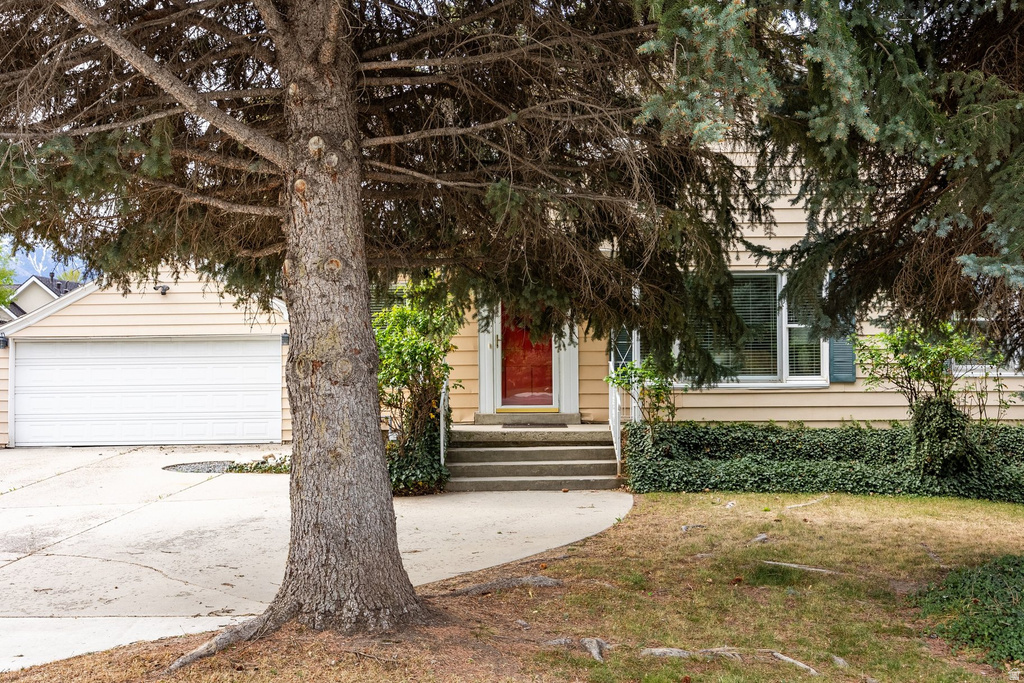 1726 E VINE ST Murray, UT 84121