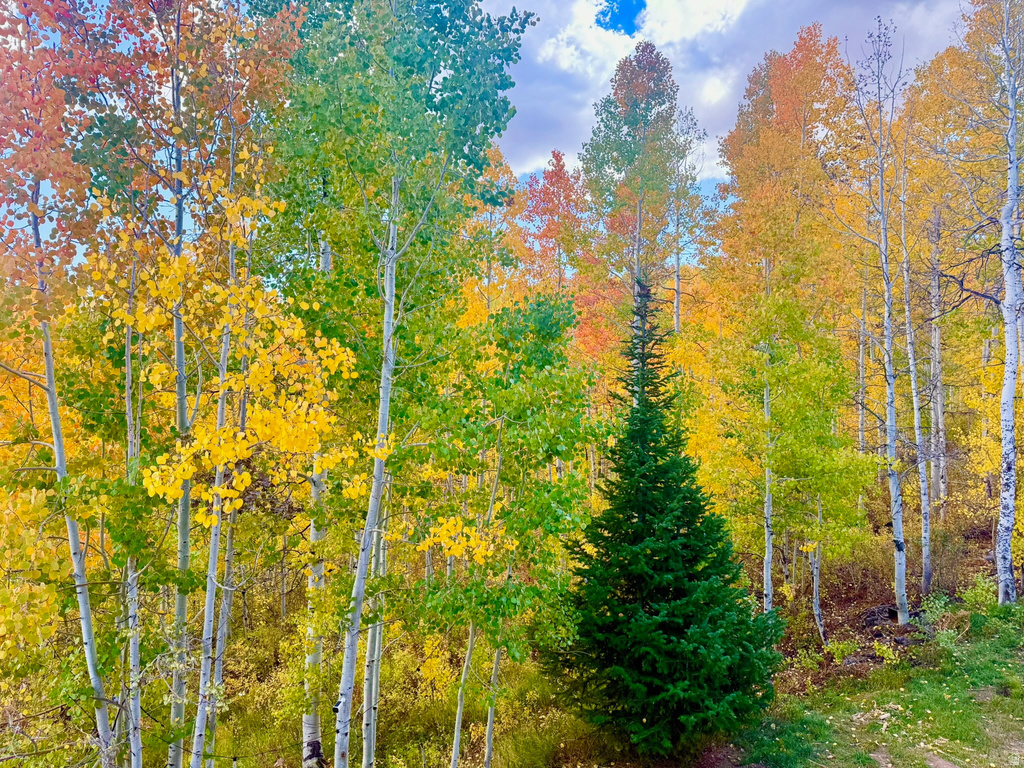 5762  ASPEN WAY Huntsville, UT 84317