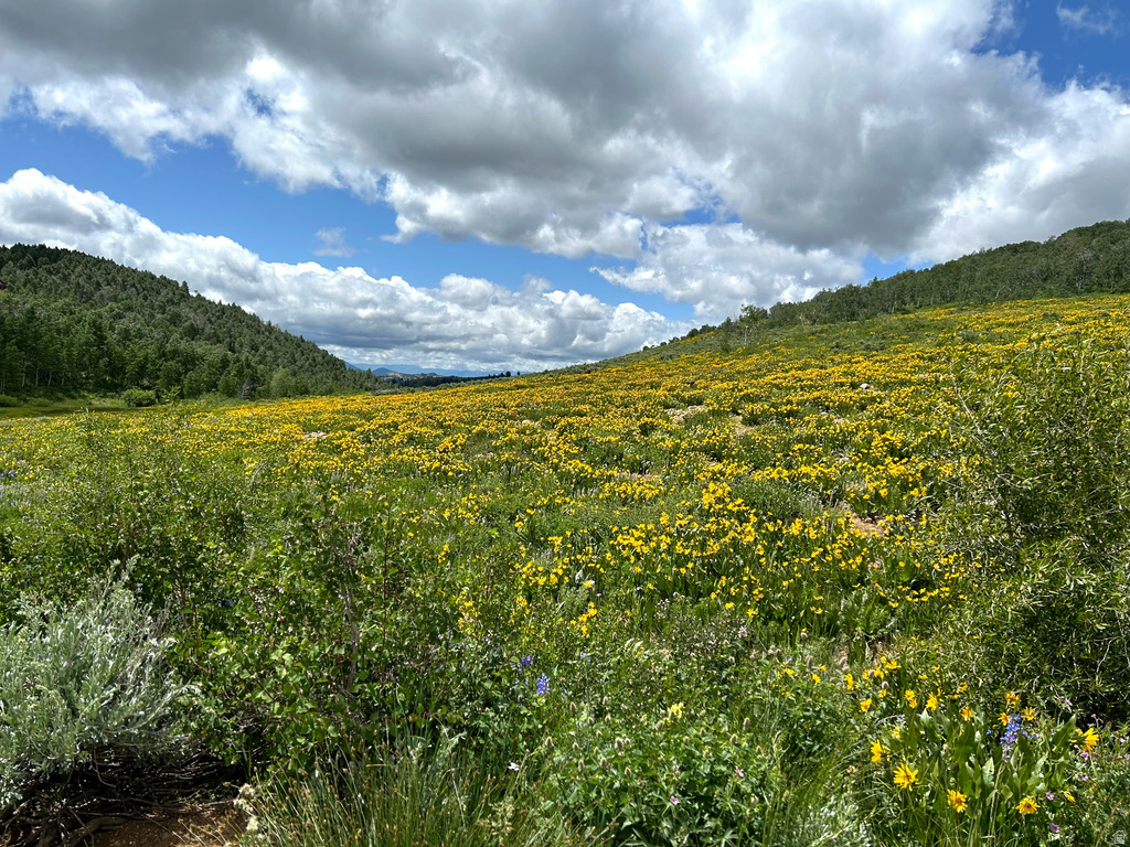 5762  ASPEN WAY Huntsville, UT 84317