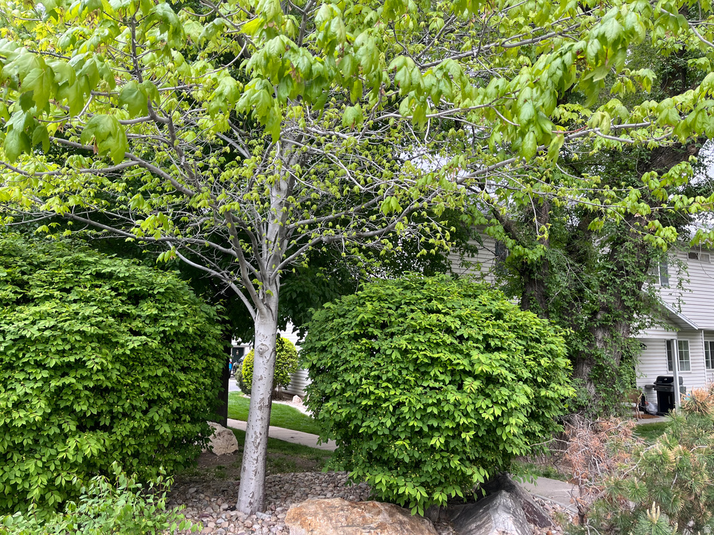 1672 S CANYONWOODS Ogden, UT 84404