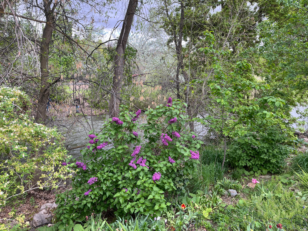 1672 S CANYONWOODS Ogden, UT 84404