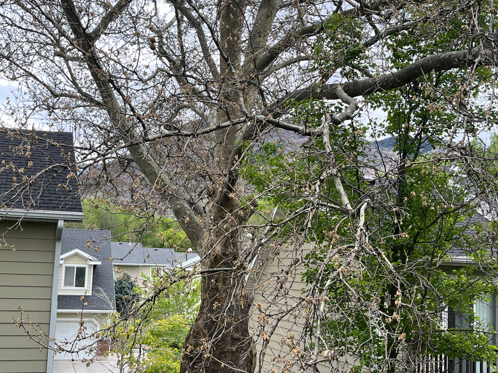 1672 S CANYONWOODS Ogden, UT 84404