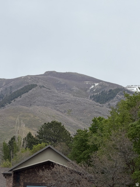 2555 E 2050 N Layton, UT 84040