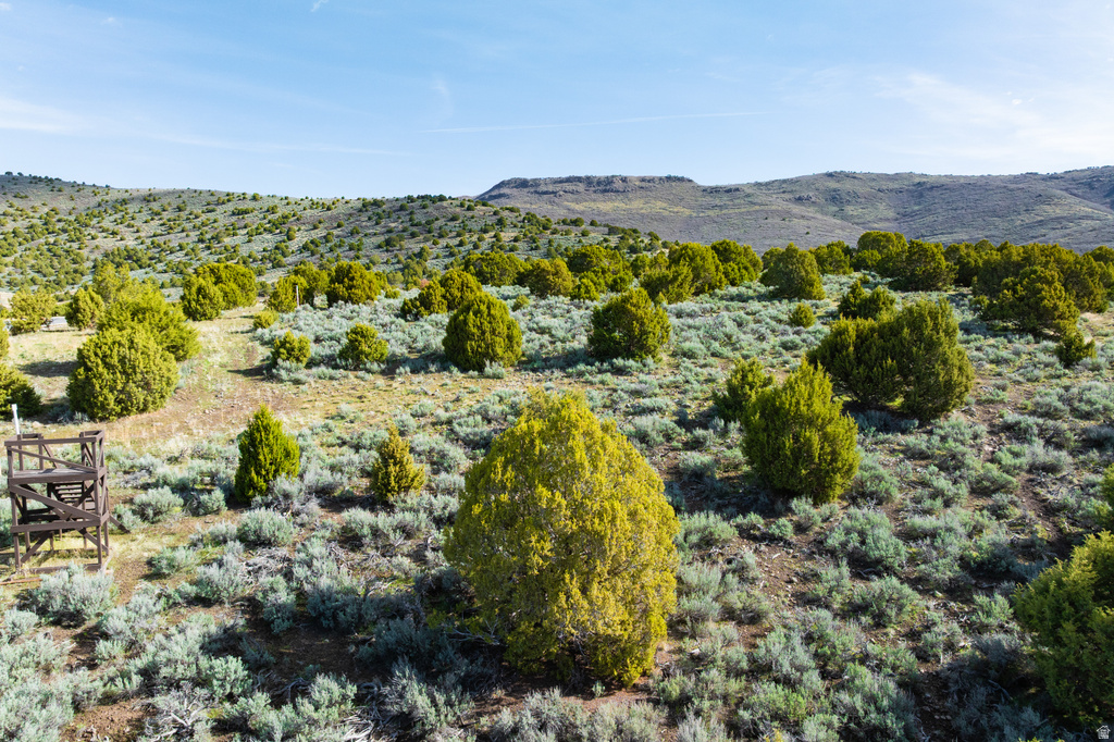 3266 E RED KNOB WAY Heber City, UT 84032