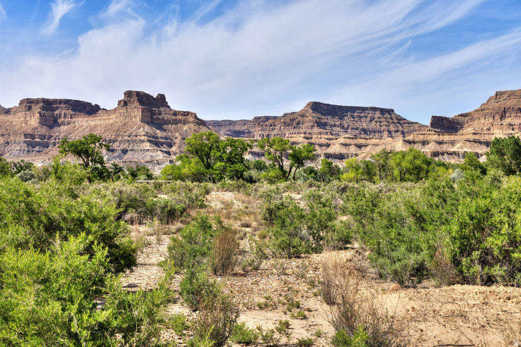 4915  HASTINGS RD Green River, UT 84525