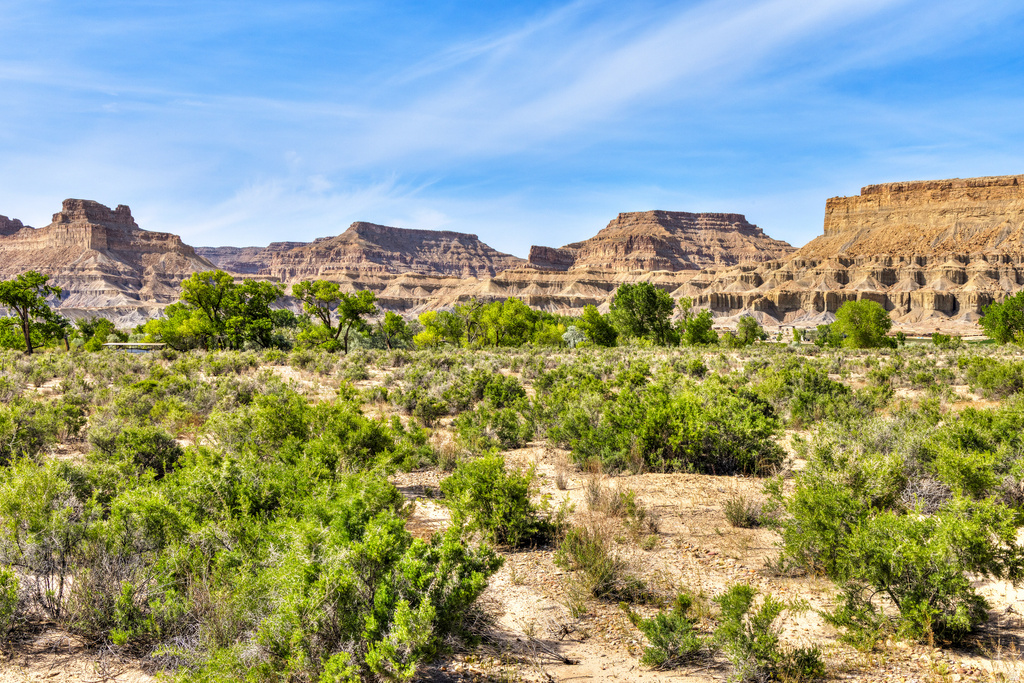 4915  HASTINGS RD Green River, UT 84525