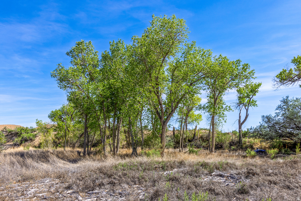 4915  HASTINGS RD Green River, UT 84525