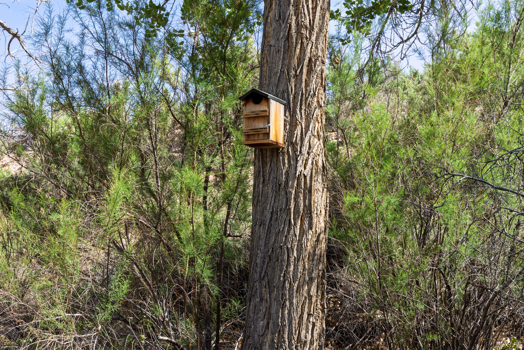 4915  HASTINGS RD Green River, UT 84525