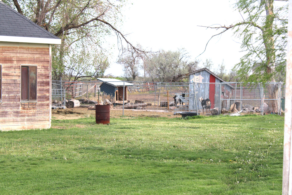 2020 N 6200 W Ogden, UT 84404