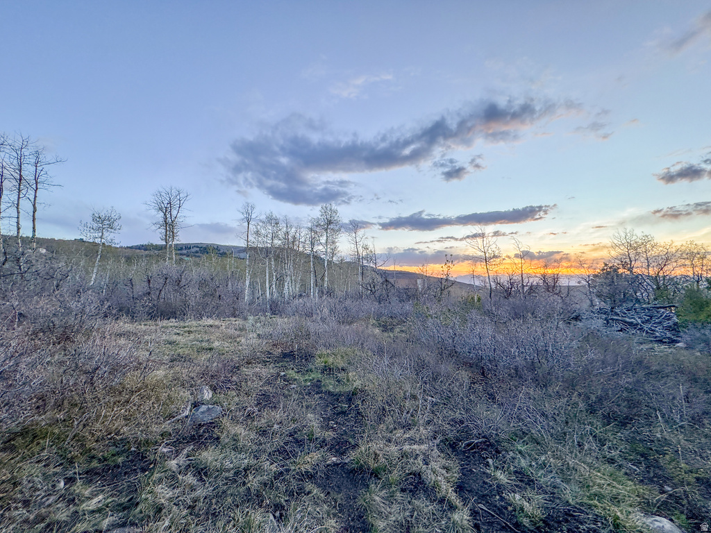 10573 E SPRING CREEK DR Heber City, UT 84032