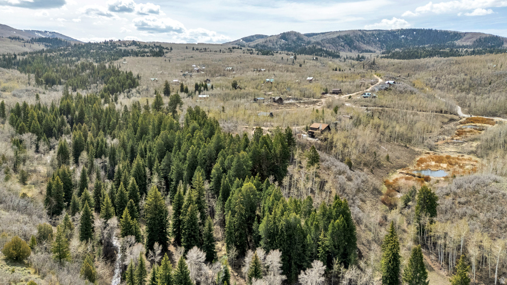 10573 E SPRING CREEK DR Heber City, UT 84032