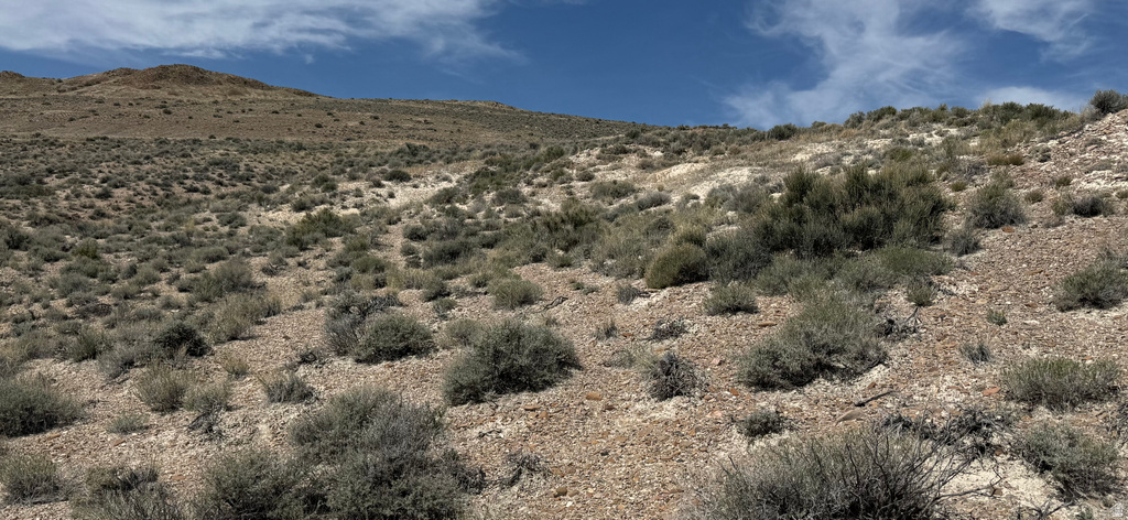  Park Valley, UT 84329